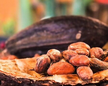 cacao, cocoa, chocolate, food, cacaobean, bean, cacaonips, caffeine, kakao, cacao, cacao, cacao, cacao, cacao, cocoa, cocoa